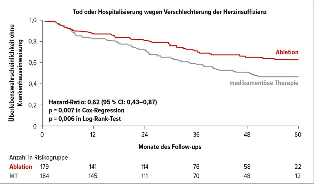 Ablation bei lange persistierendem VHF - Kardiologie & Gefäßmedizin